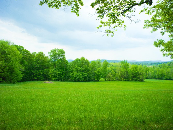 CT Skiff Mtn Preserve 5 22 21 2 print.jpg