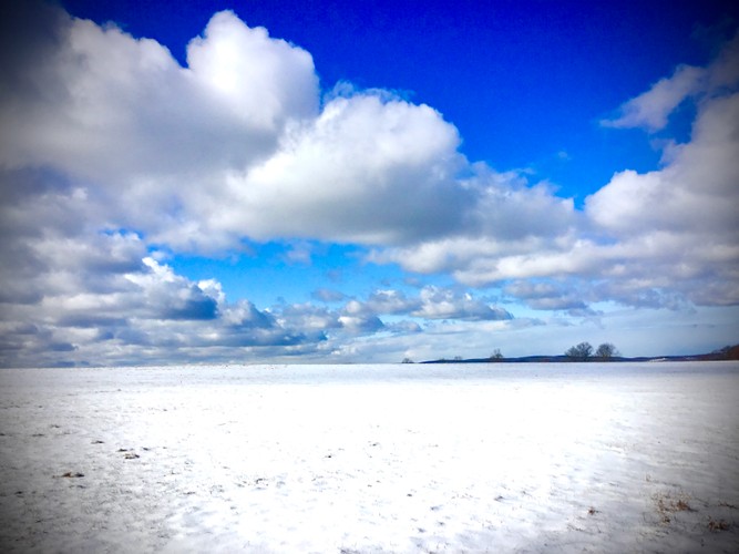 January 19 2020 Open snowy field in Dutchess County .JPG