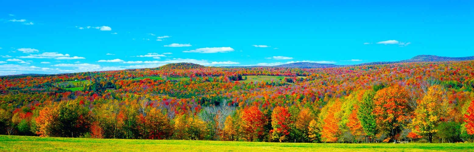 Hunter's Hill Autumn panoramic JPEG.jpg