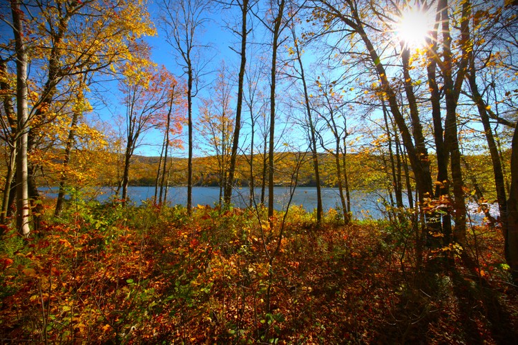 Fall foliage 2024 Canon 5 (1).JPG