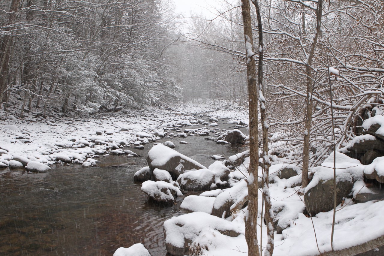 First Snowfall in the Catskills 2017.jpg