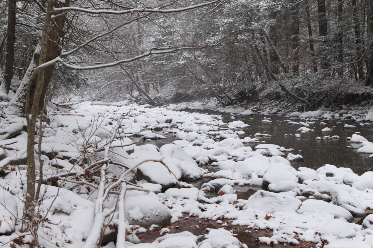 First Snowfall at Woodstock, New York 2017.jpg