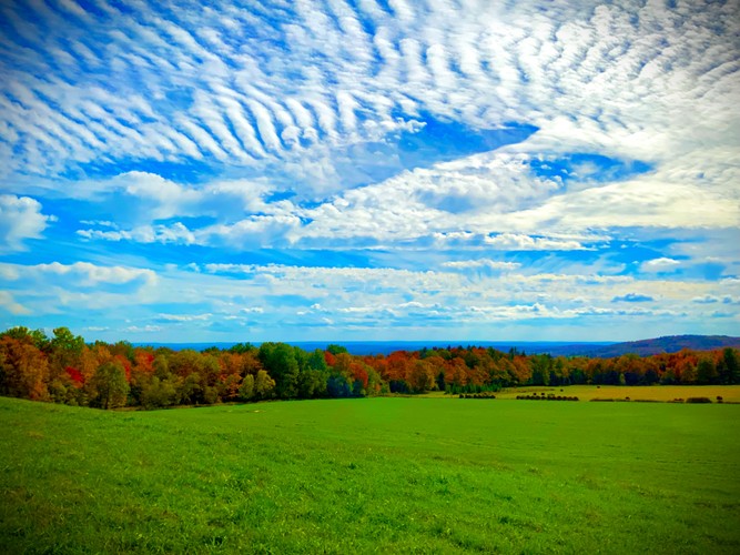 Fall season 2024 4.jpg