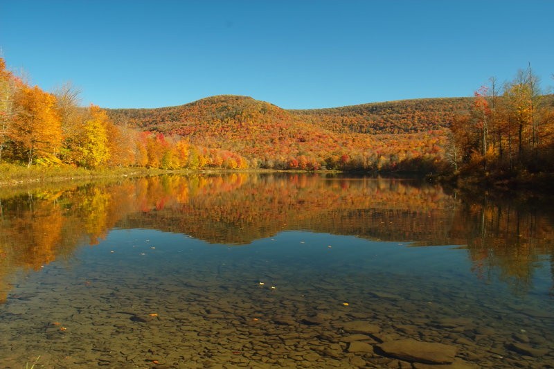 Catskil Long PondIMG_0001.jpg