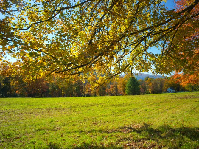 Woodstock 10 15 20 5.jpg