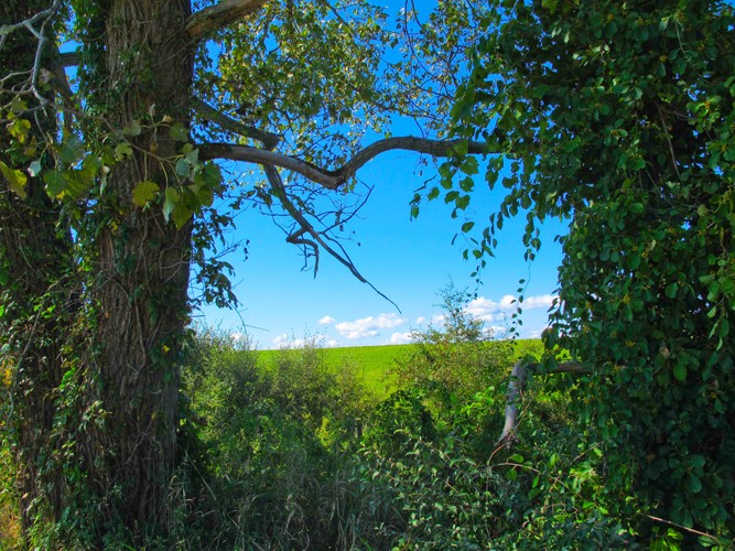 CT Last days of Summer 2018 3.jpg