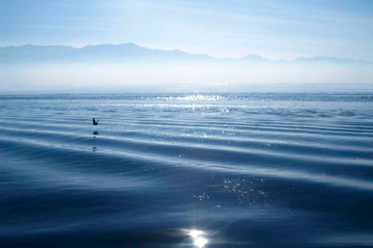 1bluebeyandinlelakeWEB