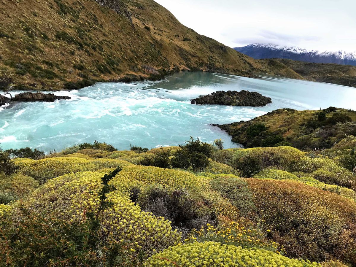 PATA explorer WEB.jpg