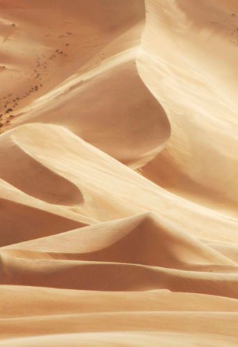 1JOUNNEYrollercoasterdown