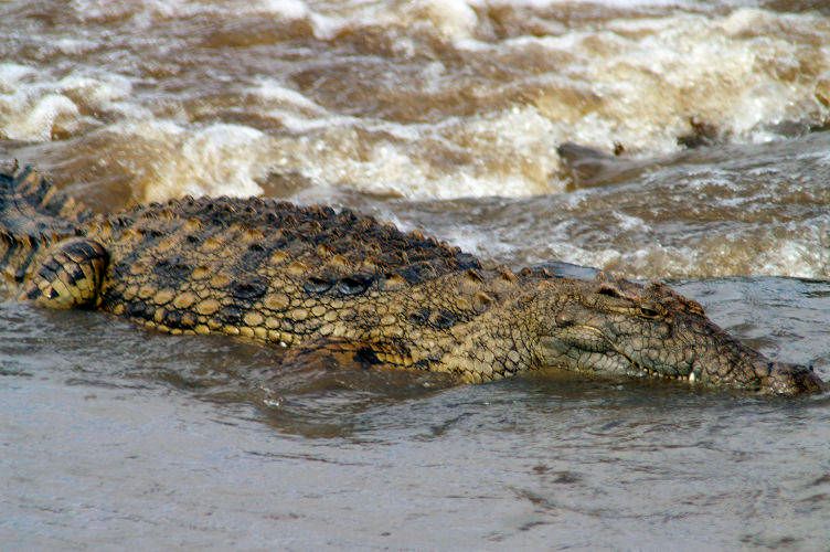 1don_t_go_in_the_water_