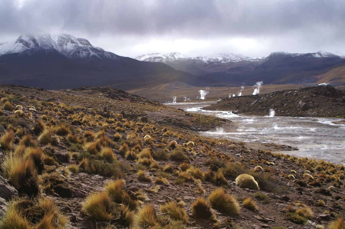 ATA geizer field WEB.jpg