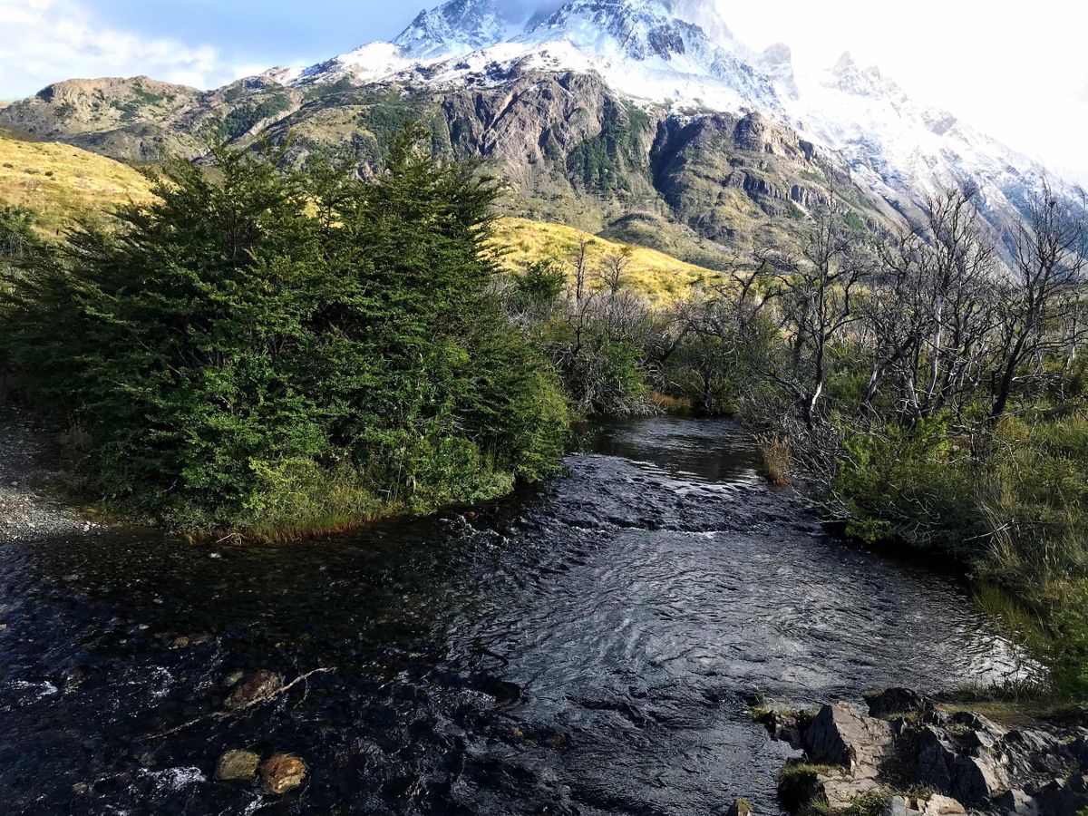 PATA mt river WEB.jpg