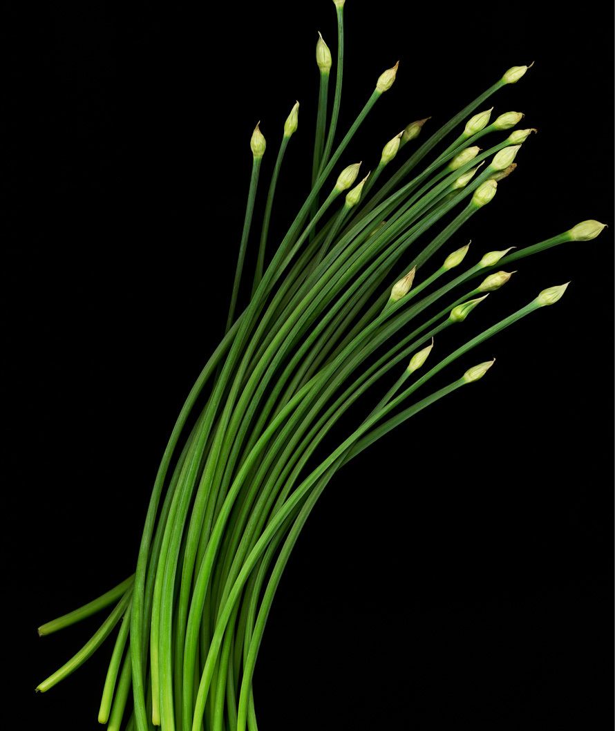 1chives
