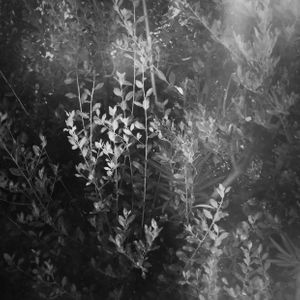 IMG_1946.jpeg