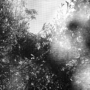 IMG_1715.jpeg