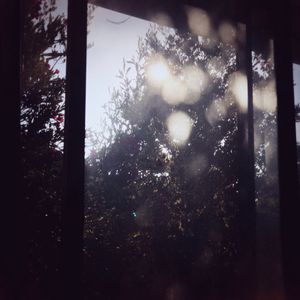 IMG_2196.jpeg
