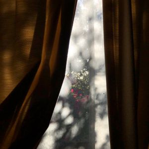 IMG_1320.jpeg