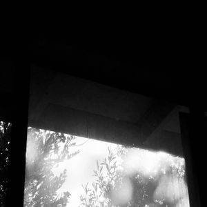 IMG_2471.jpeg