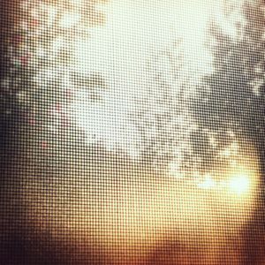IMG_2232.jpeg
