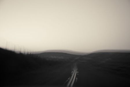 Blurred Landscape (from a moving car), Point Reyes, CA