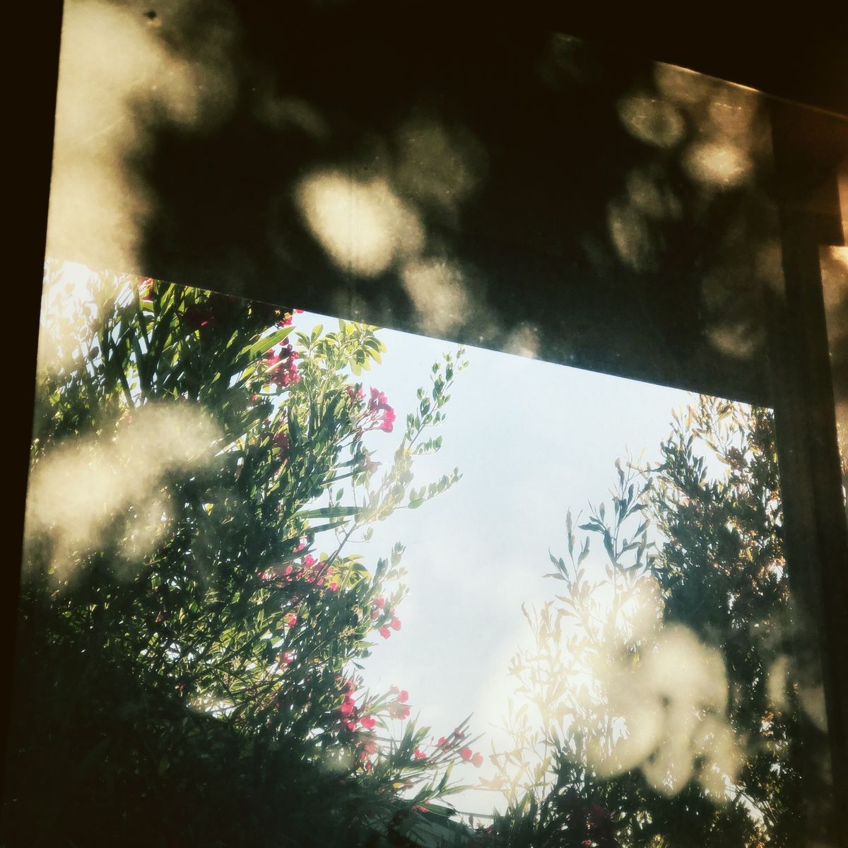 A Window of Time