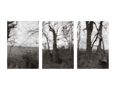Blurred Landscape (from a moving car), Northern Virginia