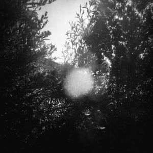 IMG_2612.jpeg