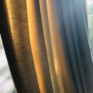 IMG_2101.jpeg