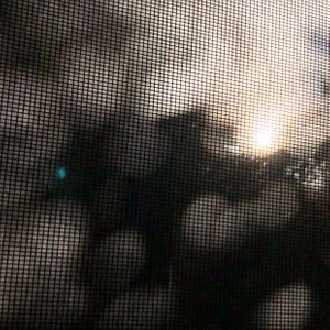 IMG_1625.jpeg