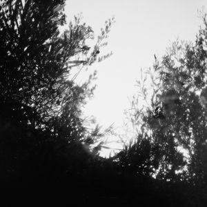 IMG_2654.jpeg