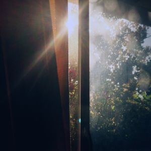 IMG_2207.jpeg