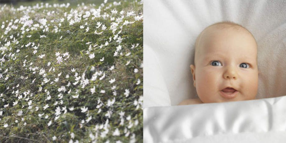 baby in flowers