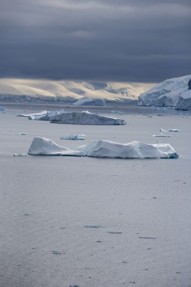 Ice Bergs in Antarctica