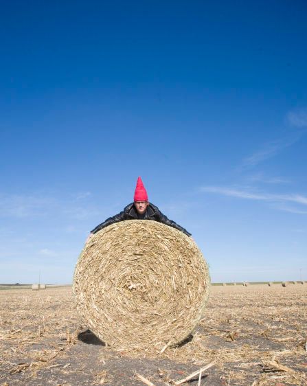 Gnome hugging a hay bail