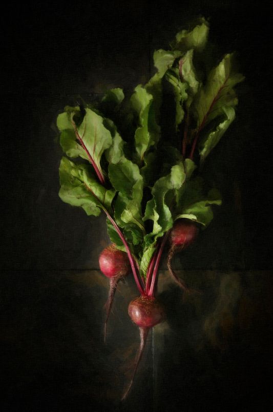 Limited Edition, Encaustic mixed-media, "The bunch radishes"