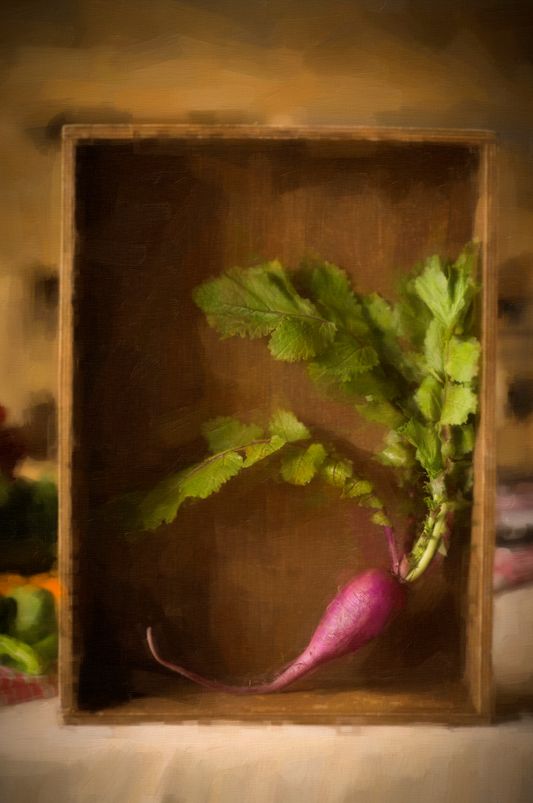 Limited Edition, Encaustic mixed-media, "Single Radish In A Wooden Box"