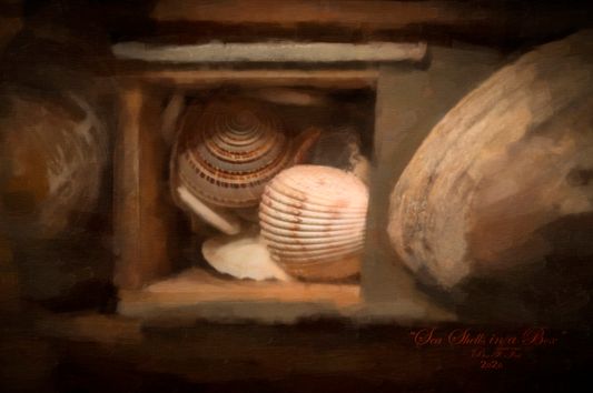 Limited Edition, Encaustic mixed-media, "Sea Shells In A Box"