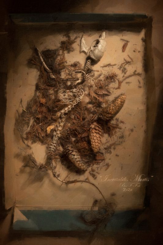 Limited Edition, Encaustic mixed-media, "Inevitabilis Mortis"