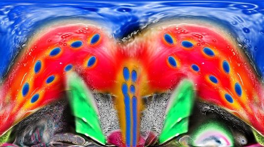 1eo_41__1_web