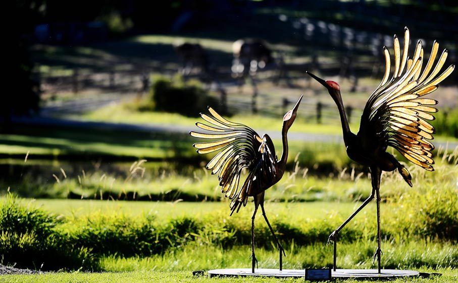 The Dance  Cast glass & forged steel 8' x 8' x 5'Photography by Brenda Ahearn