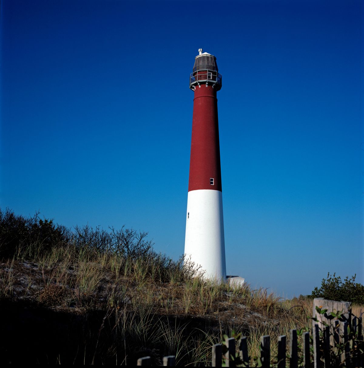 barnegatlight1_lg.jpg