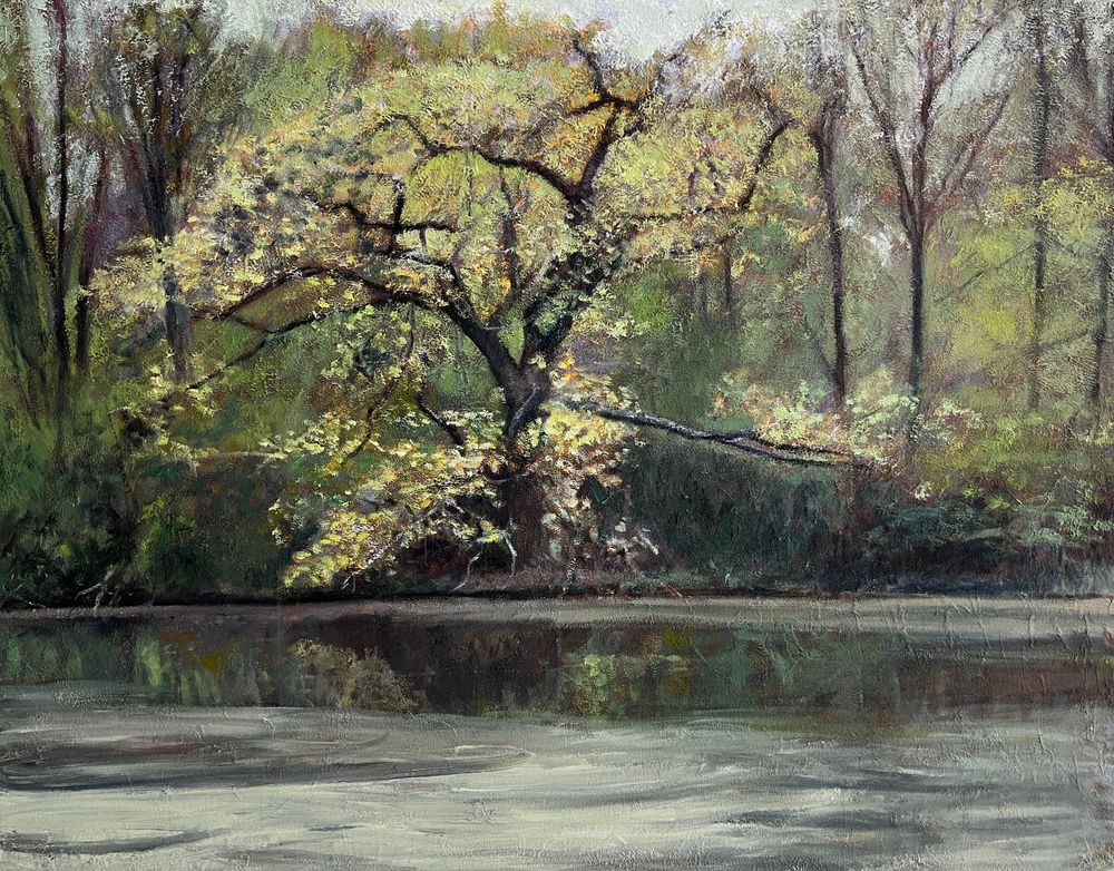 Oak Tree by the Pond in Spring