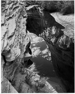 Reflections, Fronds Gelees Canyon, Glen Canyon, Utah