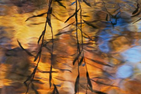 Fall Reflections Abstract, Wolf Creek Near Greenville, California, Sierra, copyright 2013 by David Leland Hyde.
