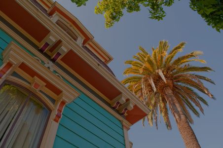 Historical Mansion, Palm Tree, Downtown Santa Cruz, California, 2009 by David Leland Hyde.