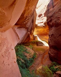 Cathedral In The Desert, Glen Canyon, Utah (Vertical)