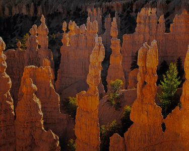 Formations From Bryce Point, Bryce Canyon National Park, Utah