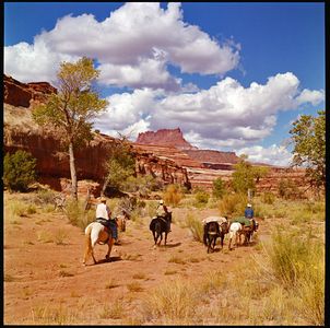 Horse Party In The Maze, Canyonlands National Park, Utah
