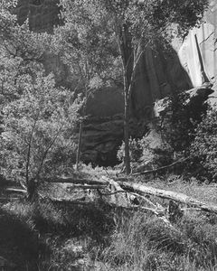 Pot Canyon, Tributary To The Escalante River, Glen Canyon, Utah, 1964