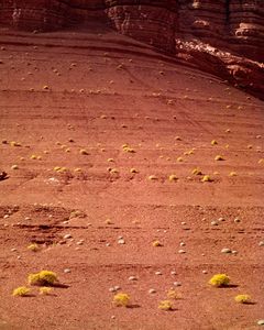 Under The Vermillion Cliffs, Painted Desert Near The Grand Canyon, Arizona